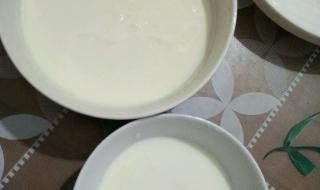 怎样做姜汁撞奶（详细图文） 姜汁撞奶的做法